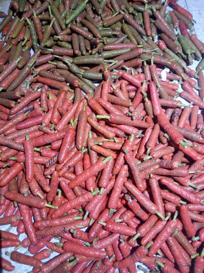 Agricultural Sourcing