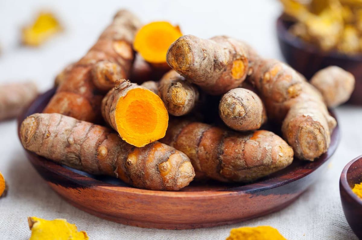 Turmeric Processing Facility