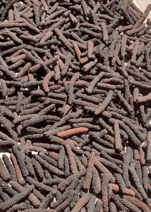 Whole Dried Long Pepper