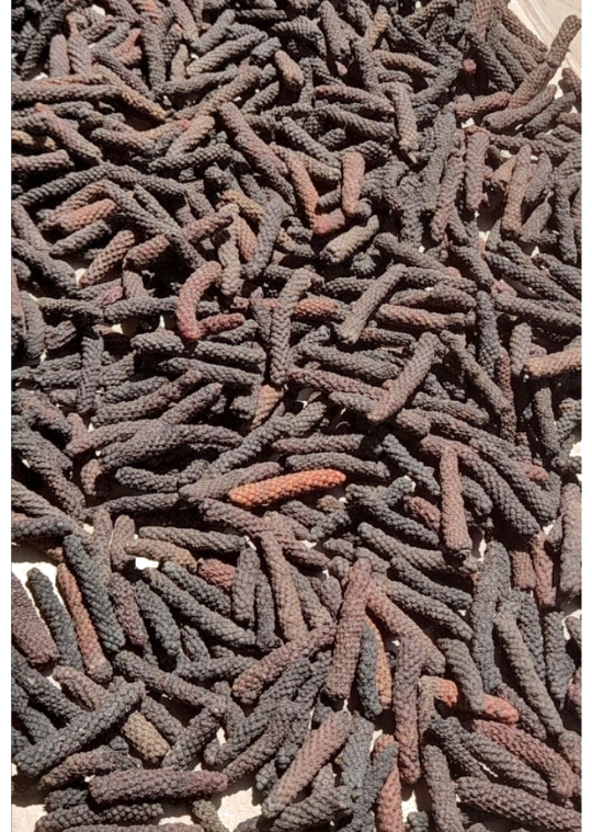 Indonesian Whole Dried Long Pepper